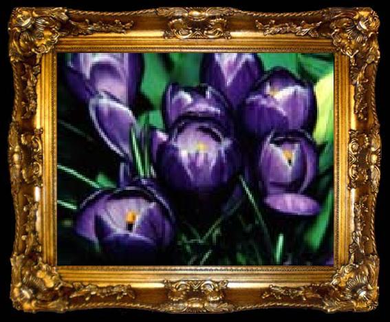 framed  unknow artist Violet Iris, ta009-2